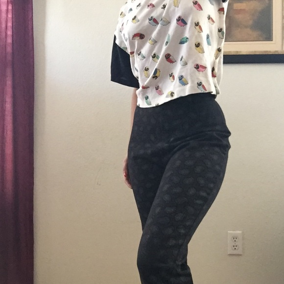 Owl Print Shirt 🦉🦉 - Picture 5 of 5